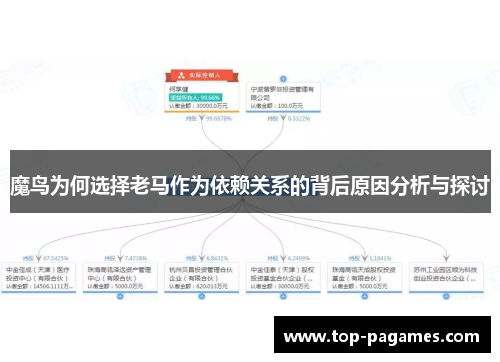 魔鸟为何选择老马作为依赖关系的背后原因分析与探讨 魔鸟为何选择老马作为依赖关系的背后原因分析与探讨
