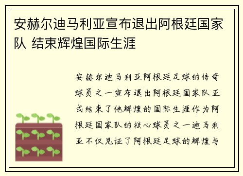 安赫尔迪马利亚宣布退出阿根廷国家队 结束辉煌国际生涯 安赫尔迪马利亚宣布退出阿根廷国家队 结束辉煌国际生涯