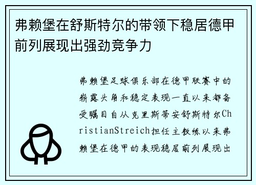 弗赖堡在舒斯特尔的带领下稳居德甲前列展现出强劲竞争力