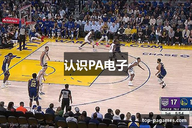 认识PA电子